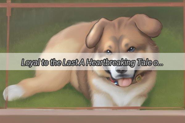 Loyal to the Last A Heartbreaking Tale of Love and Loss When Man and Dog Meet Their End Together